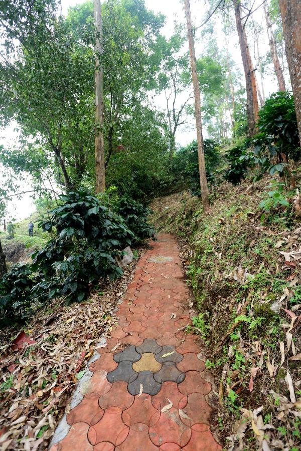 Green Magic Home Munnar Exterior foto